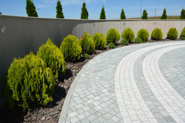 Best Driveway Paving Company  in Contoocook, NH